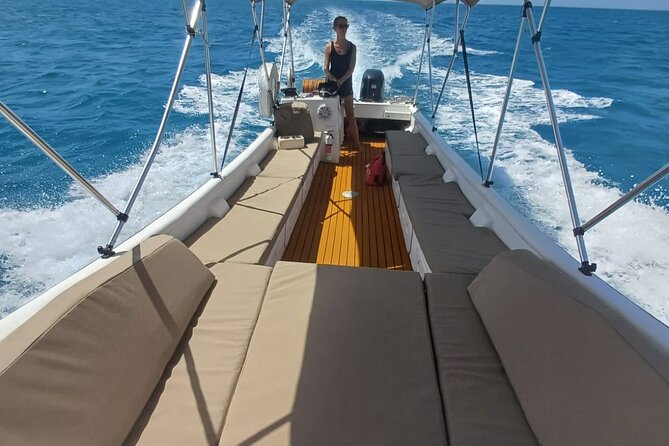 4-hour snorkel cruise to Underwater Sculptures with boat dogs - Flamingo Bay gives you a second reason to stay in the water