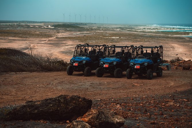 4 seat UTV Rental Adventure - Who will enjoy this rental most