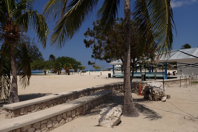 4-Stop Stingray, Snorkel, Star Fish & 7 Mile Beach (Family Owned) - Transport from hotels and cruise ships