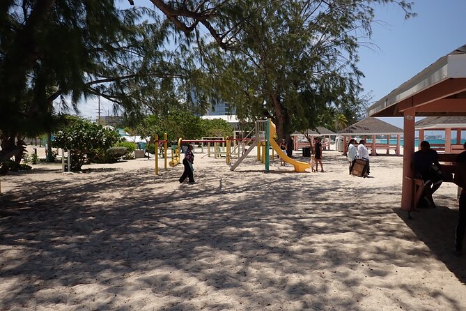 4-Stop Stingray, Snorkel, Star Fish & 7 Mile Beach (Family Owned) - Is $85 a fair price?
