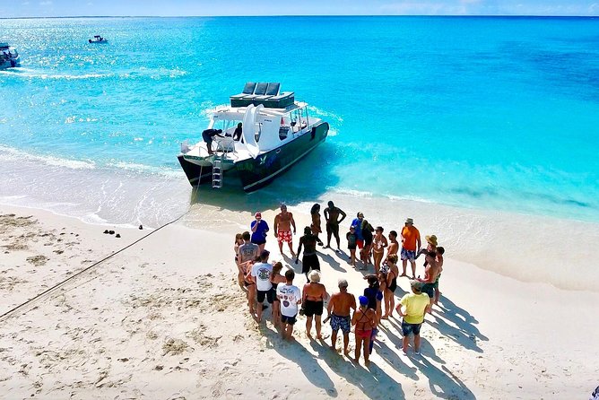 4hour Group Half Day Snorkeling Excursion in Grace Bay - Is this suitable for families and beginners?