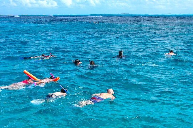 4hour Group Half Day Snorkeling Excursion in Grace Bay - What the reef stop offers