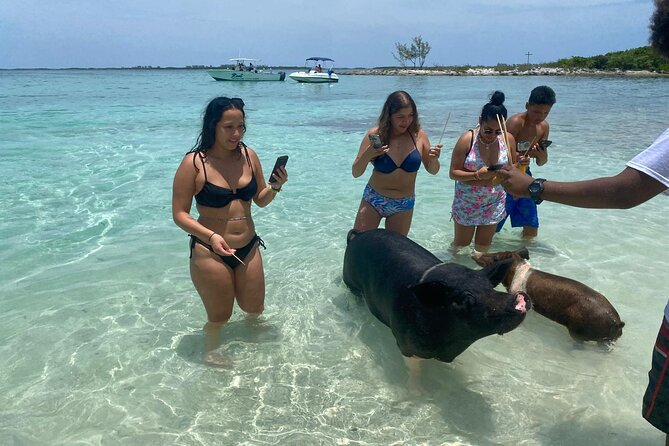 4hr Private Tour Island Hop Snorkel w/ Turtles & Sip Bahama Mamas - Green Cay and the main turtle encounter