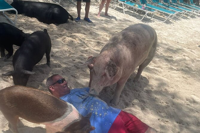 4hr Private Tour Island Hop Snorkel w/ Turtles & Sip Bahama Mamas - The crew makes a real difference