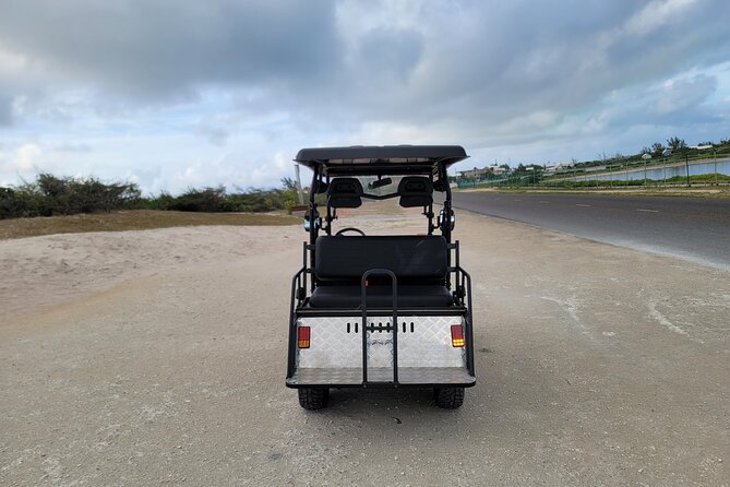 4Seater UTV Golf Cart in Grand Turk - Who will enjoy this rental most