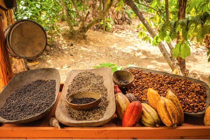4x4 Dominican Adventure with Chocolate and Coffee Tasting - Getting comfortable on the Rancho Quad Bike