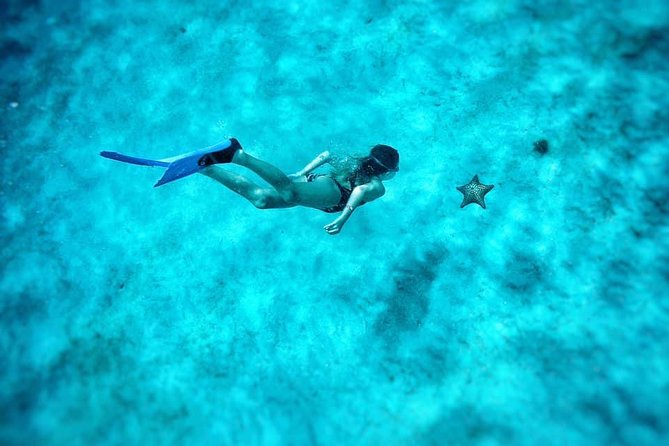 5-Hour Small-Group Catamaran Cruise from Bridgetown with Lunch - The reef or shipwreck stop changes with conditions