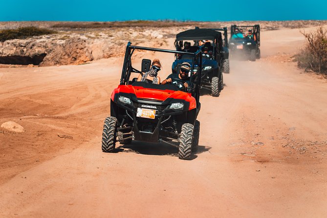5 seat UTV Rental - Who should book this Aruba rental?