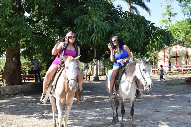 5 tours in 1 (Eco Farm/Horseback/City Tour/Buggy/Zipline) - Coffee, cocoa, and a look at local work
