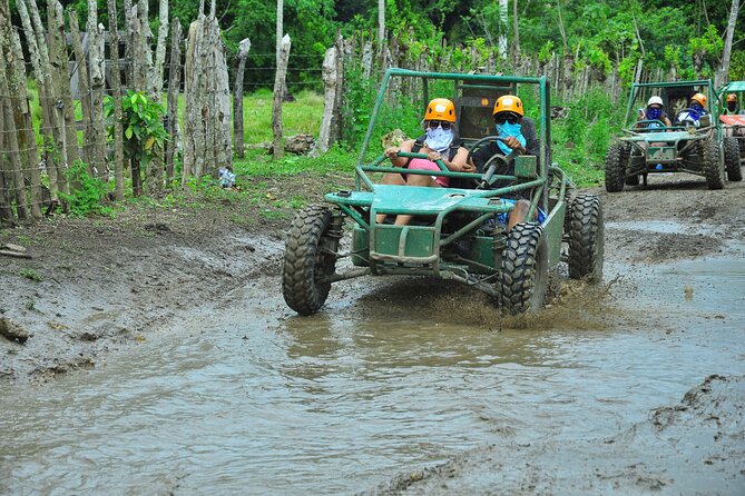5 tours in 1 (Eco Farm/Horseback/City Tour/Buggy/Zipline) - Starting with horses in the Dominican countryside