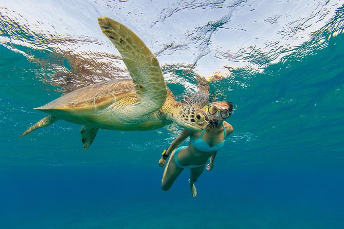 50' Luxury Yacht. Private Full or Half Day Catamaran Snorkel, & Beach Experience - Choosing a half-day or full-day charter