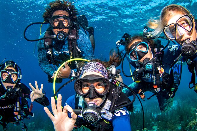 6 days unlimited diving - Key points to know