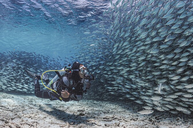 6 days unlimited diving - Six days of freedom beneath Bonaire’s surface