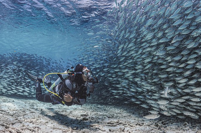 6 days unlimited diving - Why multiple pickup sites matter
