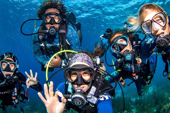 6 days unlimited diving - The pace suits independent certified divers