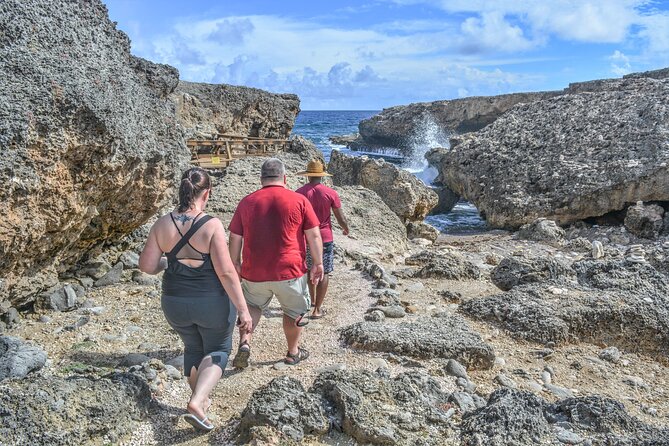 6 Hour Private Guided Tour Beyond the Beaches of Curacao - Flamingos at Sint Willibrordus