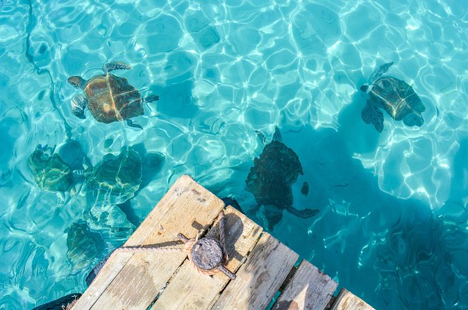 6 Hour Private Guided Tour Beyond the Beaches of Curacao - Transportation, group size, and comfort