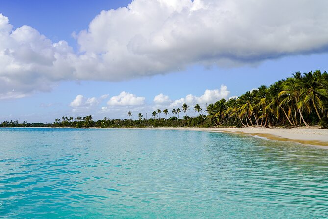 6 Hour Private Saona Island Tour with Snorkeling - Bayahibe departure at 10 a.m.