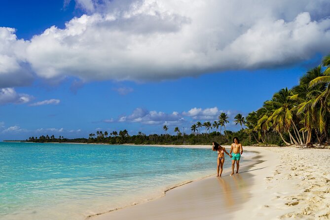 6 Hour Private Saona Island Tour with Snorkeling - Playa Palmillas and the ride back