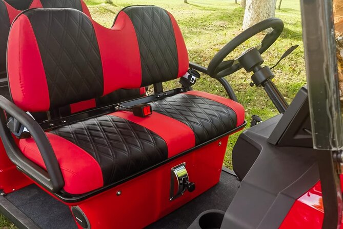 6 Seater Luxury Golf Carts Rental in Grand Turk - Who will like this rental most?