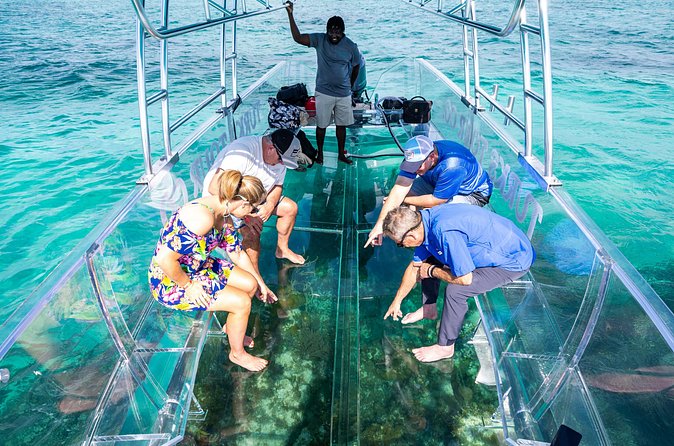 75 Minutes Clear Boat Tour in Caicos Island - Price and value at $159 per person