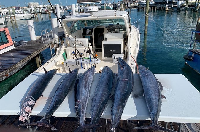 8 hours 38ft Reel Dreams Private Charter Nassau - The crew can shape the day
