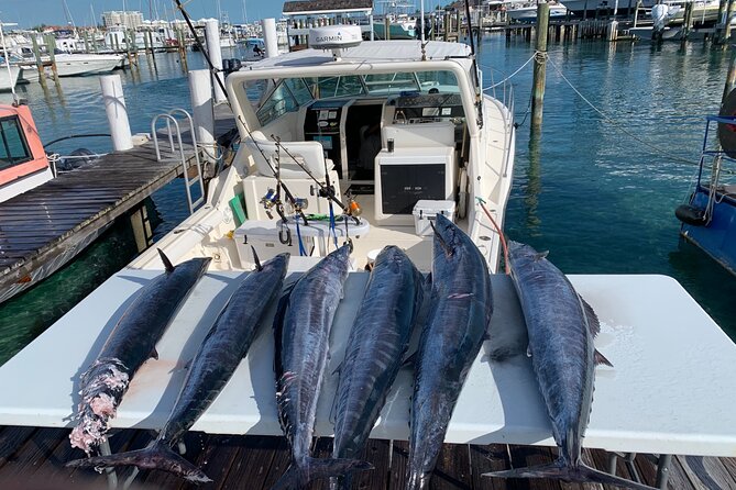 8 hours 38ft Reel Dreams Private Charter Nassau - Who should book this charter