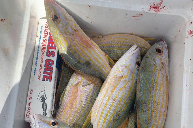 8HR Catch and Grill in Turks and Caicos Islands - A full day between Providenciales and the outer cays