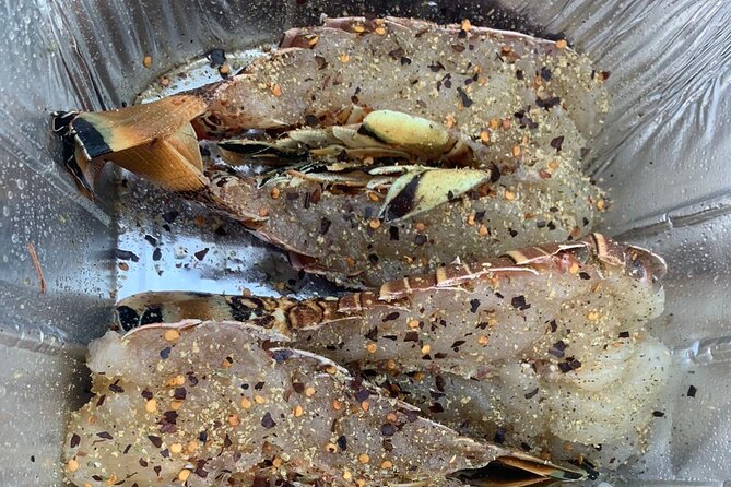 8HR Catch and Grill in Turks and Caicos Islands - Who will enjoy this most