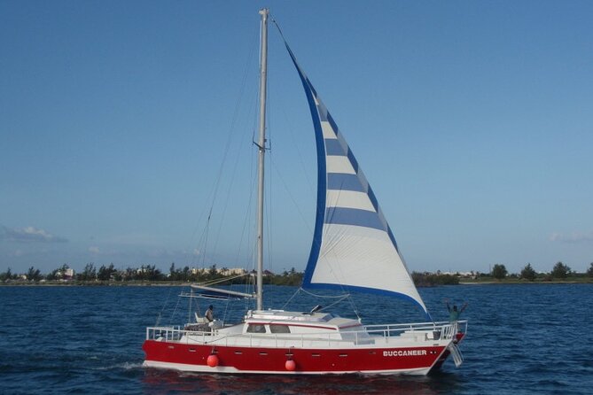 Acquarius Stingray City and Snorkel Tours - Cruise-ship timing requires discipline