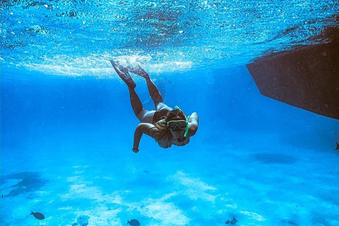 Adults Only Catalina Bay Small Group Snorkel & Sunset Sail - Food, rum punch, and the famous grilled cheese