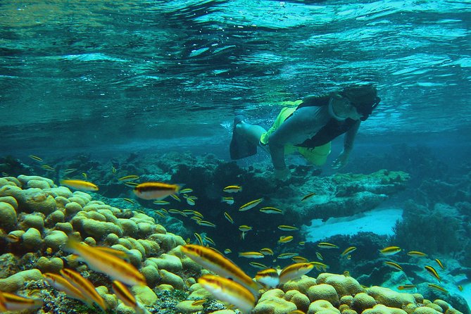 Adventure Antigua - Eli's Original Eco Tour - Great Bird Island: your main swimming and lunch stop