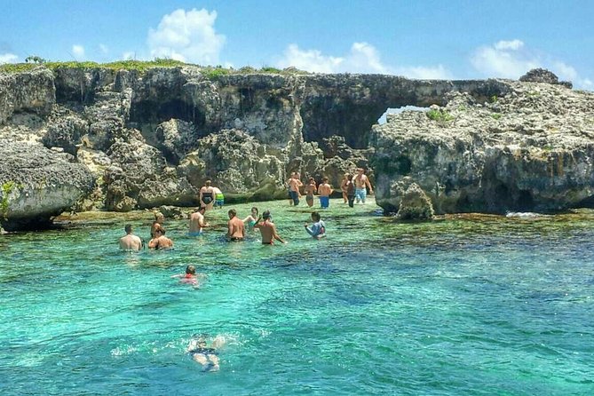 Adventure Antigua - Eli's Original Eco Tour - Guiana Island and the role of mangroves