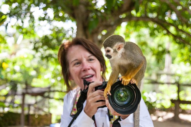Adventure Bundle: Monkeyland, Ziplines & Buggies Punta Cana - Who should book this adventure?