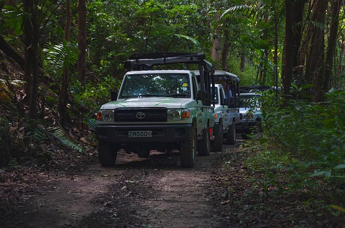 Adventure Safari - Lunch at Sugar Cane Club