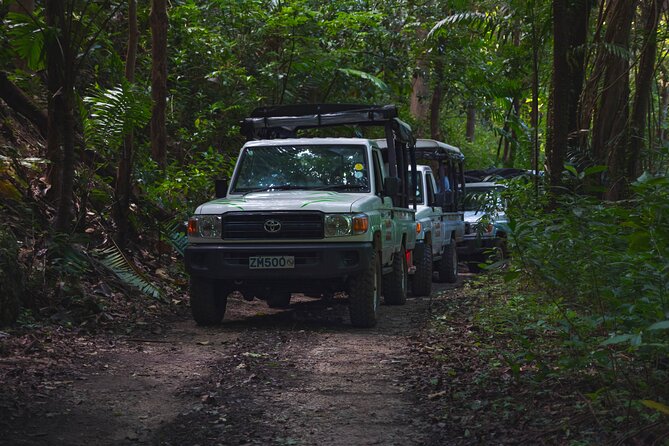 Adventure Safari - Bathsheba brings the rough east coast into view