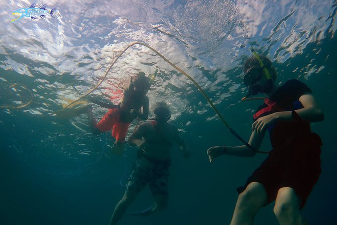 Adventure SNUBA in St. Maarten - The shared-air setup is the main drawback