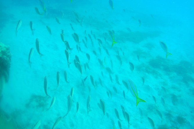 Adventure SNUBA in St. Maarten - Who will enjoy this St. Maarten activity?