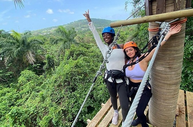 Adventure Trail Tour in the foothills of the National Rainforest - Surfing the Jungle and Tarzan’s Swing