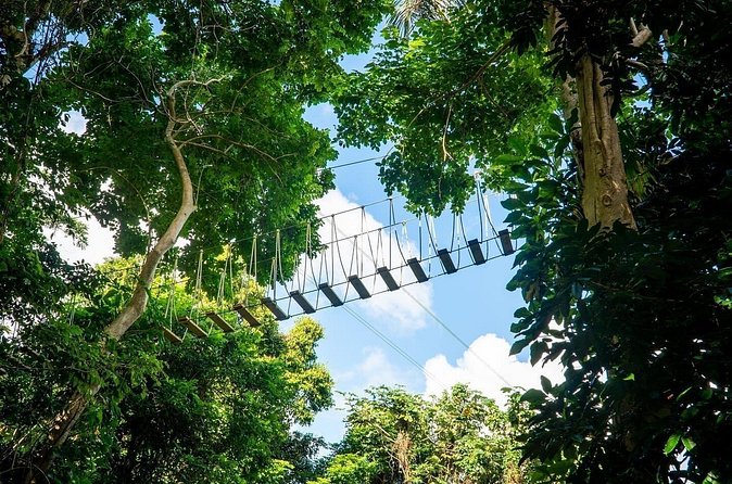 Adventure Trail Tour in the foothills of the National Rainforest - Location and timing at Rainforest Zipline Park