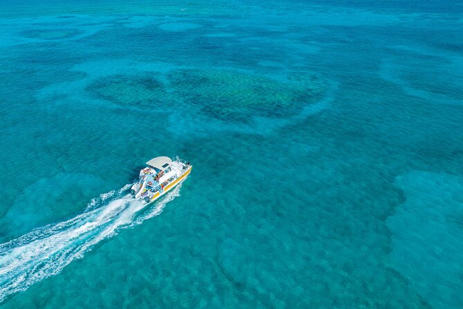 Afternoon Half Day Cruise from Providenciales with Snorkeling and Iguana Island - Key details before you book