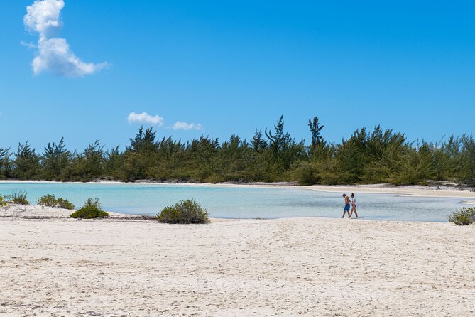 Afternoon Half Day Cruise from Providenciales with Snorkeling and Iguana Island - Crew service and the shared-boat feel