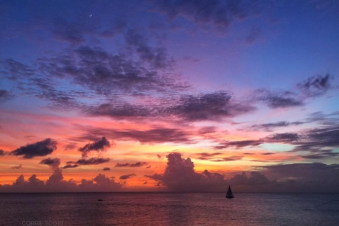 Afternoon Luxury Catamaran Sailing and Charter Cruise from Bridgetown - Who should book this cruise?