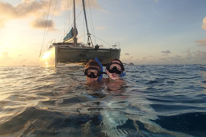 Afternoon Luxury Catamaran Sailing and Charter Cruise from Bridgetown - Turtle snorkeling in Carlisle Bay