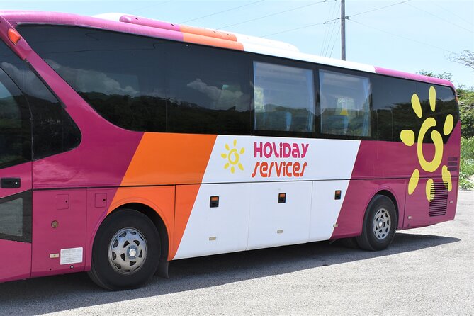 Airport Shuttle from Montego Bay (MBJ) to Hotel - Comfort, air conditioning, and vehicle condition