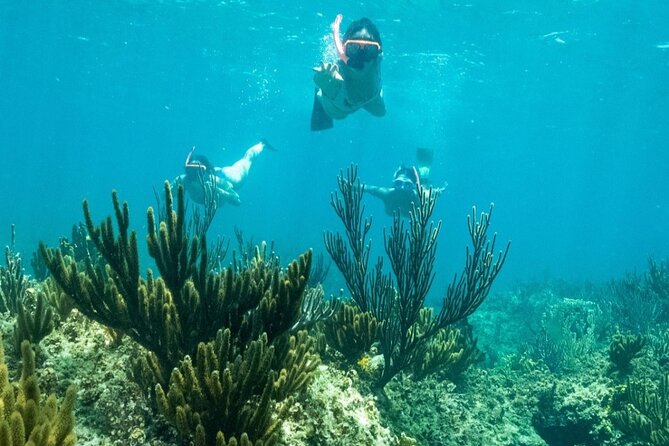 All Day Adventure with a Beach BBQ Feast from Providenciales - Is $225 a fair price?