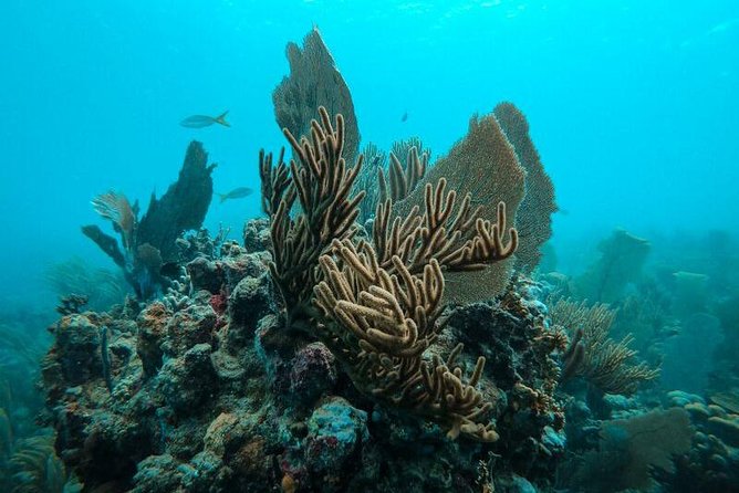 All Inclusive Beach and Snorkel Boat Tour to Icacos Island - The crew makes the difference