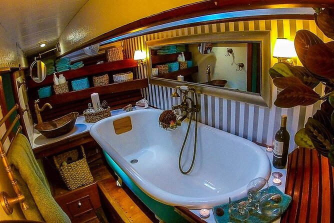 ALL INCLUSIVE Full Day snorkeling & sunset cruise with boat dogs - Four boat dogs make this an unusual cruise
