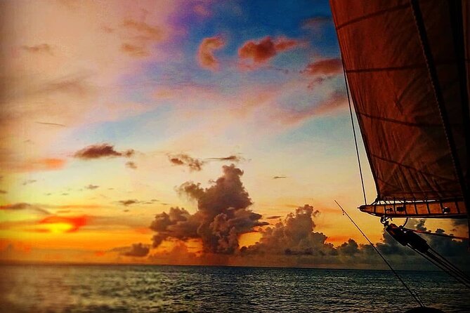 ALL INCLUSIVE Full Day snorkeling & sunset cruise with boat dogs - What $209 includes, and where the value lies