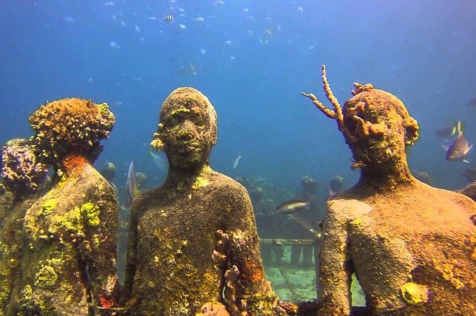 ALL INCLUSIVE Full Day snorkeling & sunset cruise with boat dogs - Flamingo Bay offers a second stretch of reef